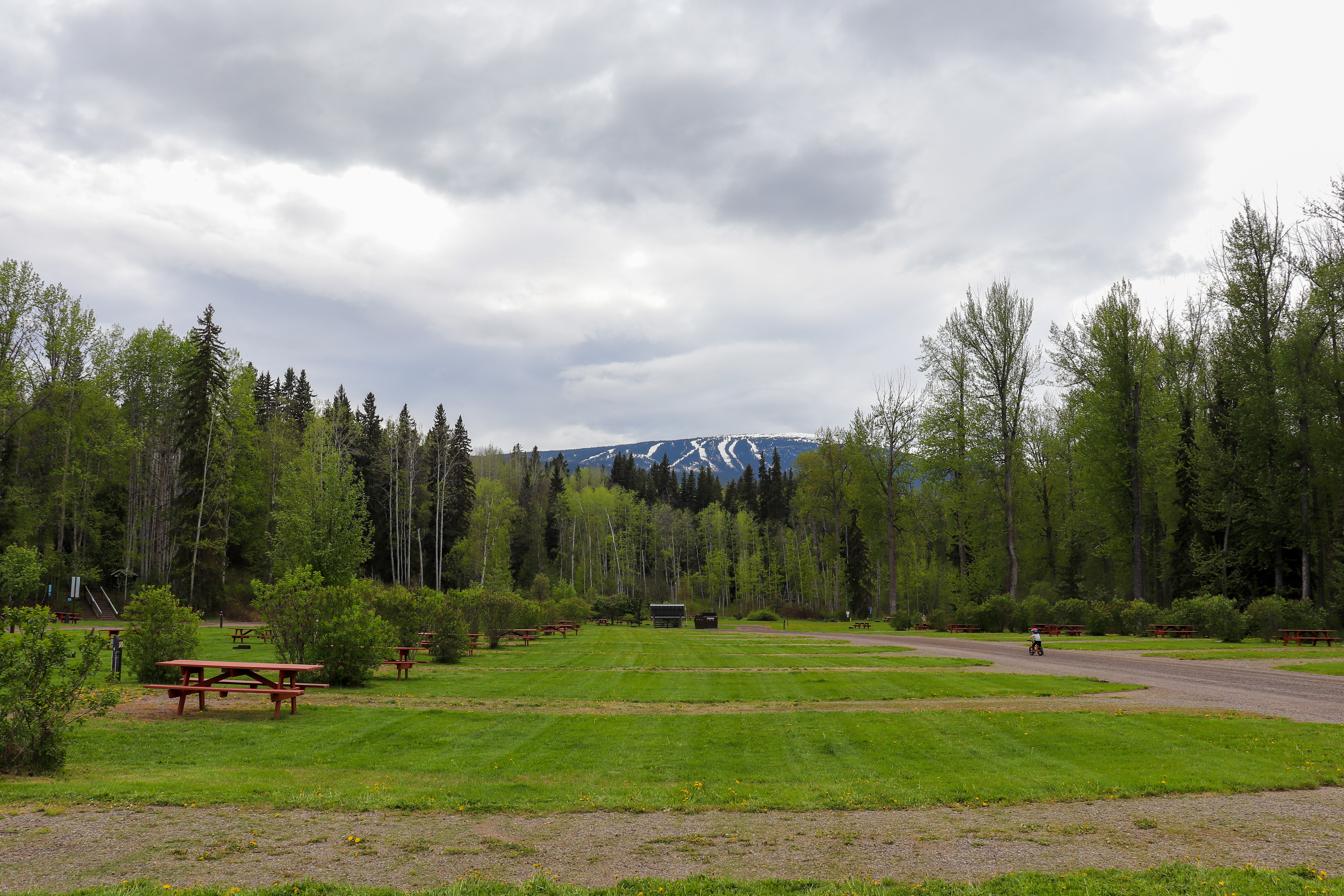 campground, camping, Riverside, outside, park, fire, picnic