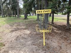 disc golf, green space, frisbee, park, field, public, community, move